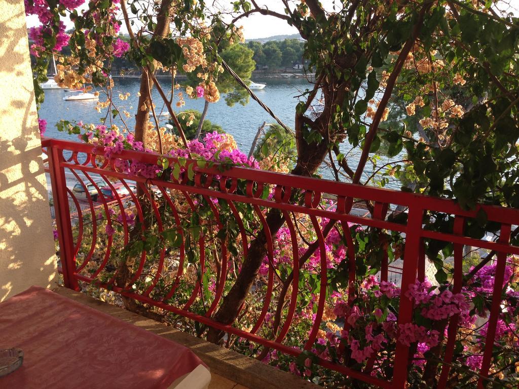 Ana Trogir